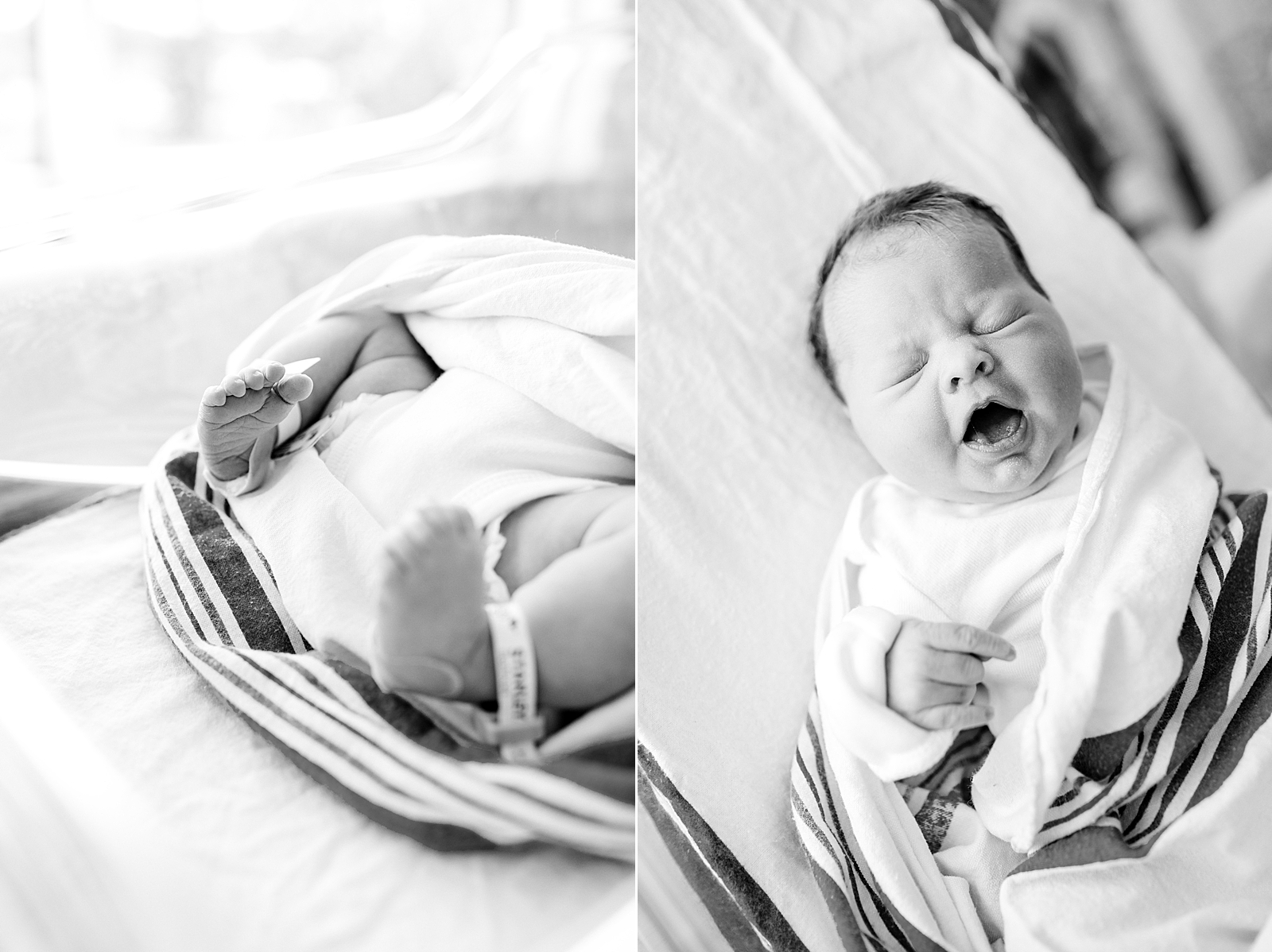 Patewood Memorial Hospital Newborn Photographer Greenville SC