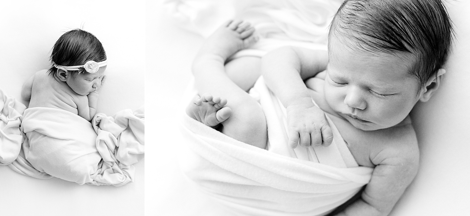 Greenville Studio Newborn Photographer