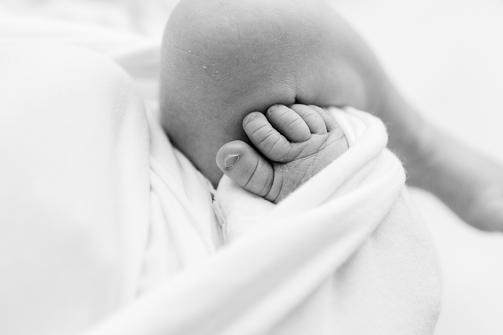 greenville studio newborn photographer